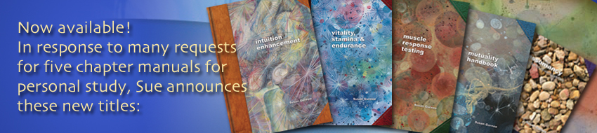Innere Studien Serie - Arbeitsbuch